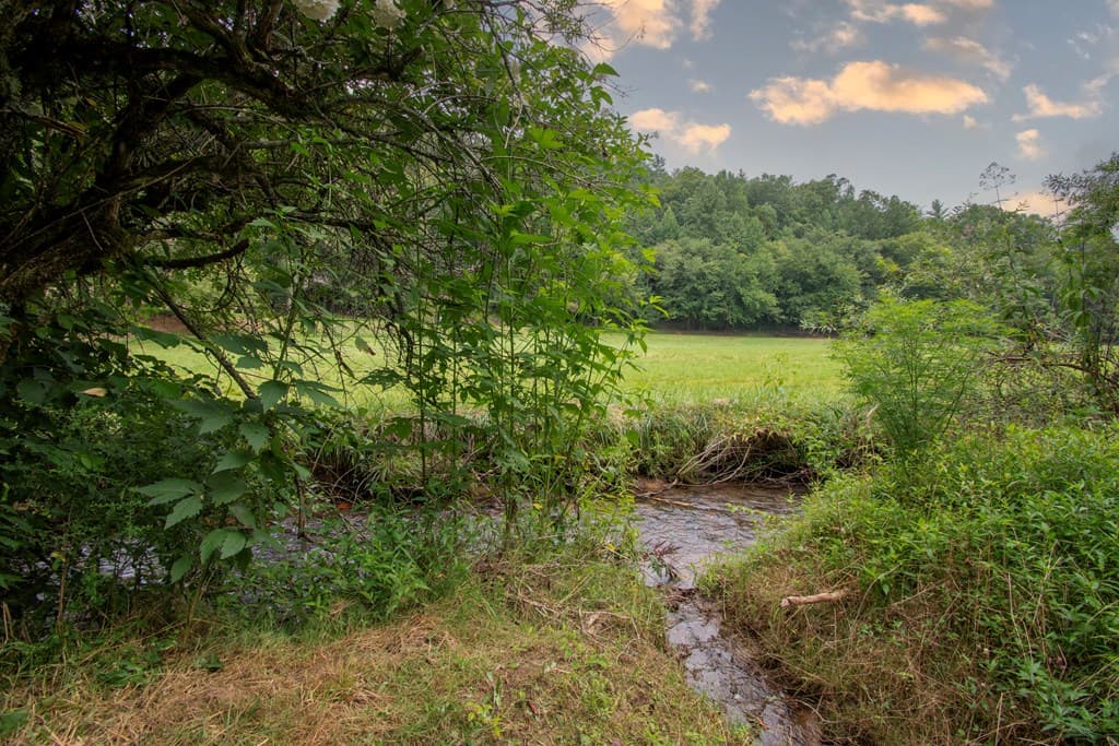 580 Atoah Circle, Robbinsville NC 28771 - Photo