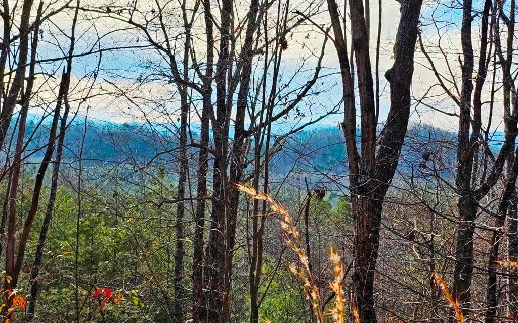 270 Graystone Drive, Murphy NC 28906 - Photo