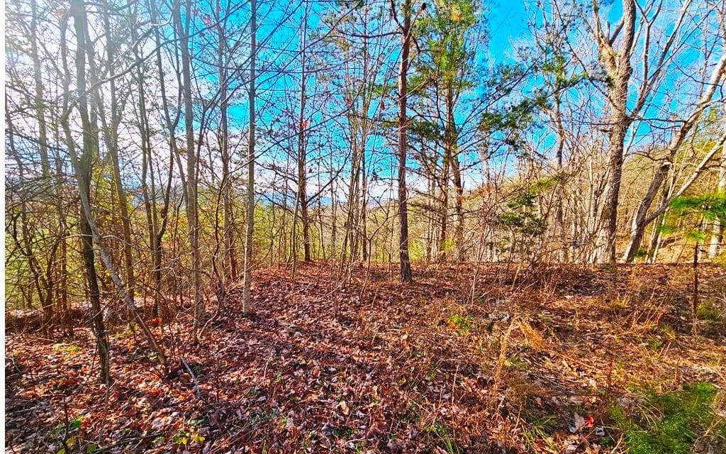 270 Graystone Drive, Murphy NC 28906 - Photo