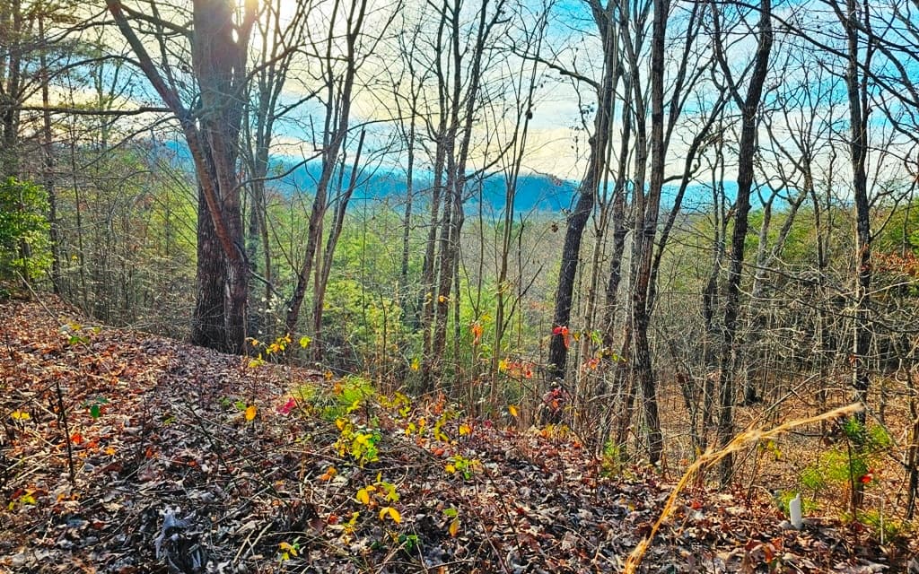 270 Graystone Drive, Murphy NC 28906 - Photo