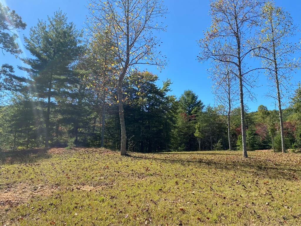Lot 60 Laurel Brooke, Blairsville GA 30512 - Photo