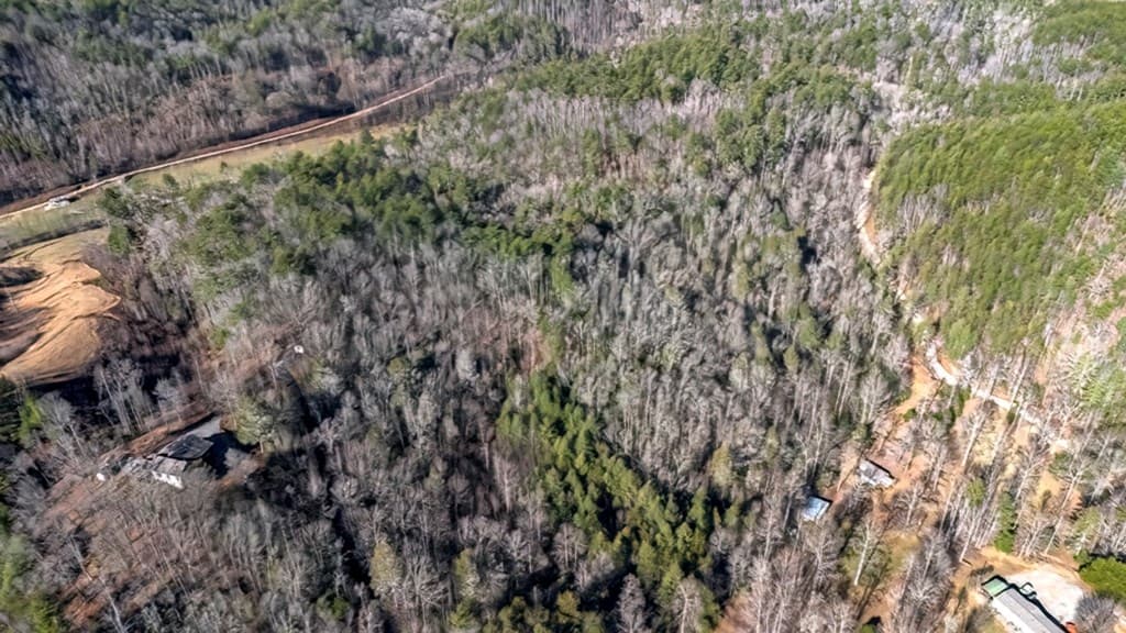 200 Mt. Liberty, Mccaysville GA 30555 - Photo