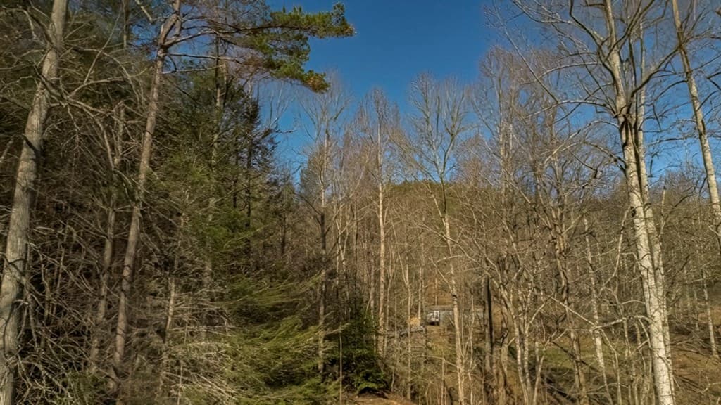 200 Mt. Liberty, Mccaysville GA 30555 - Photo