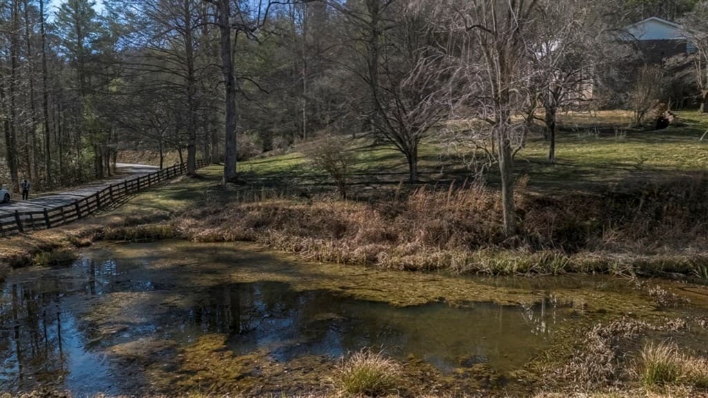 200 Mt. Liberty, Mccaysville GA 30555 - Photo
