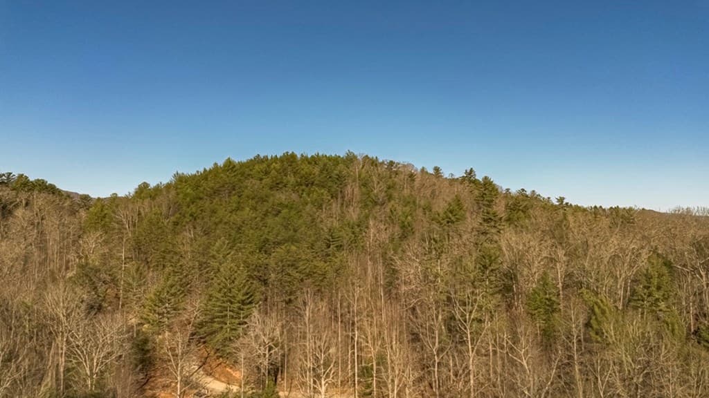 200 Mt. Liberty, Mccaysville GA 30555 - Photo