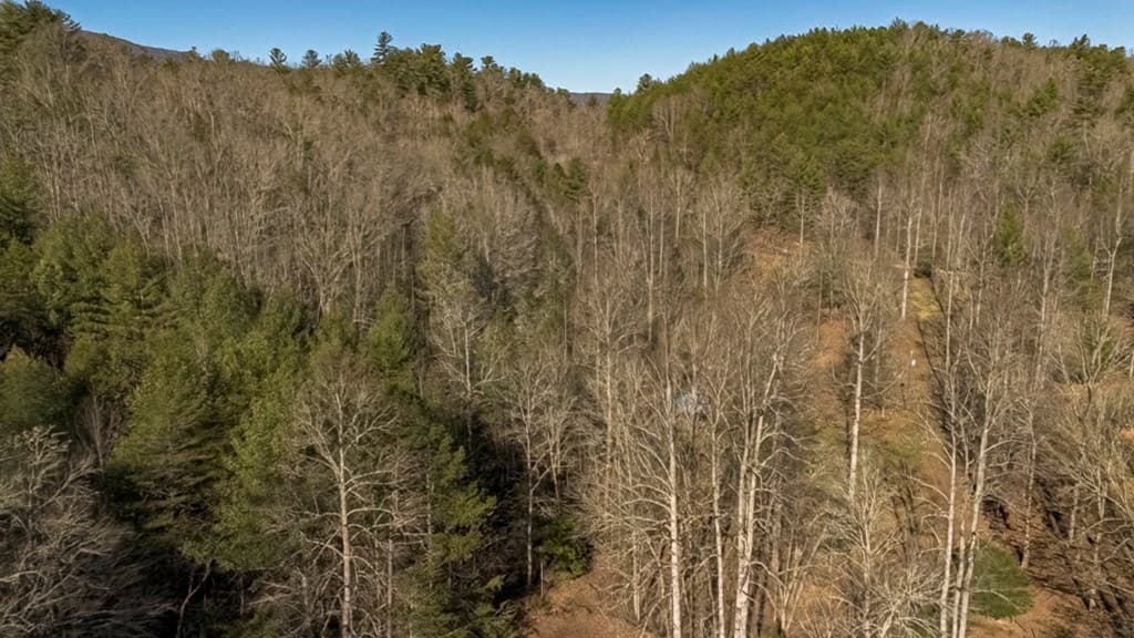 200 Mt. Liberty, Mccaysville GA 30555 - Photo