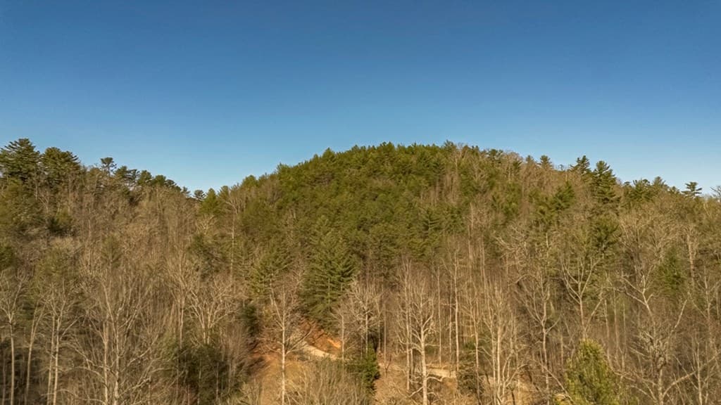 200 Mt. Liberty, Mccaysville GA 30555 - Photo