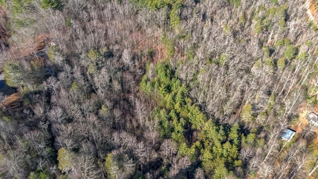 200 Mt. Liberty, Mccaysville GA 30555 - Photo