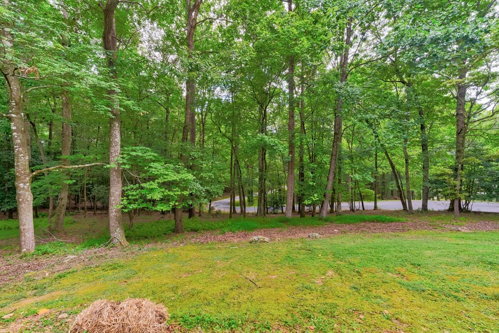 44 W D Court, Ellijay GA 30540 - Photo