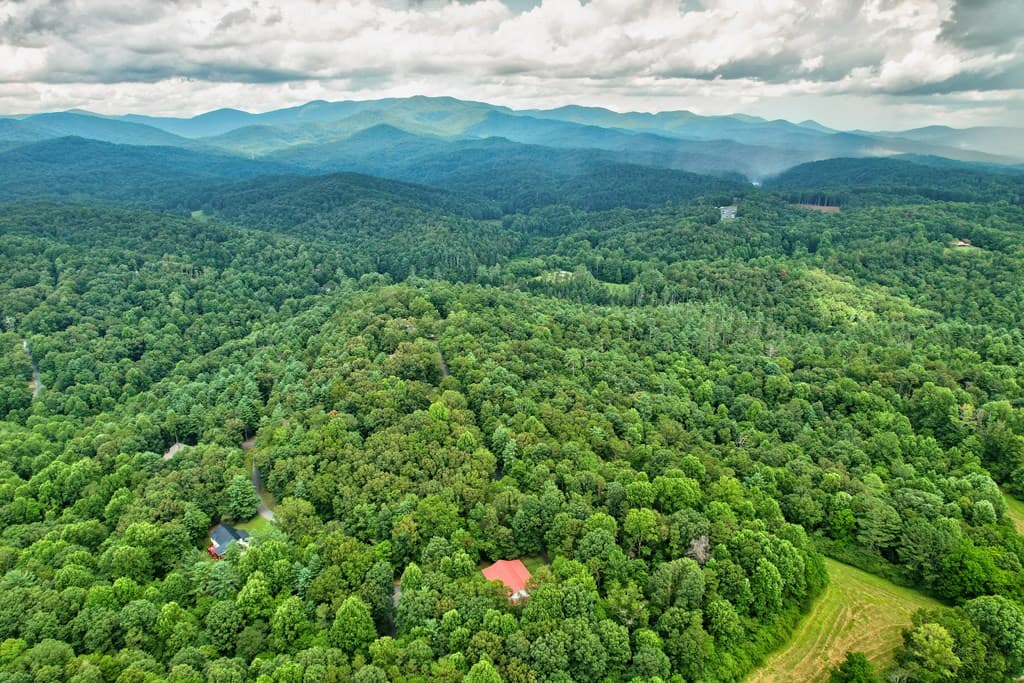 44 W D Court, Ellijay GA 30540 - Photo