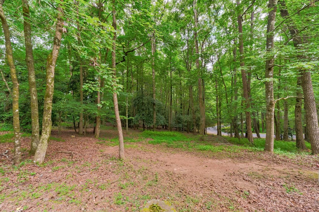 44 W D Court, Ellijay GA 30540 - Photo