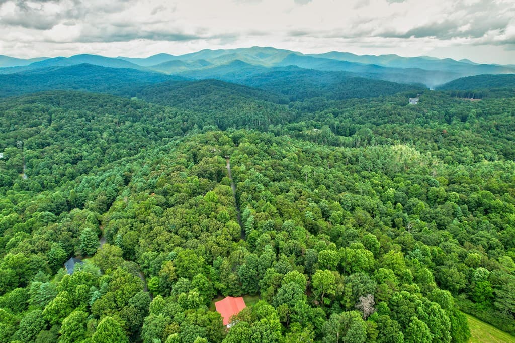 44 W D Court, Ellijay GA 30540 - Photo