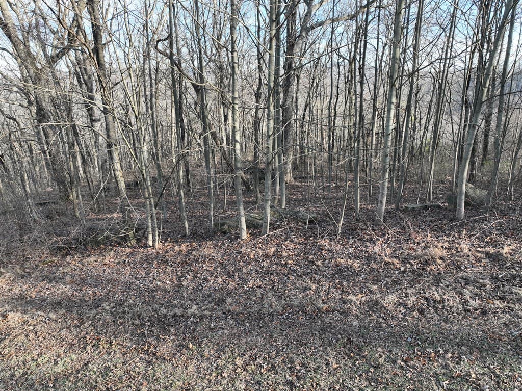 275 Andes Ridge, Ellijay GA 30536 - Photo