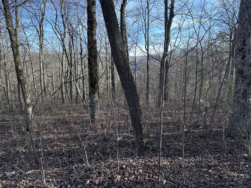 275 Andes Ridge, Ellijay GA 30536 - Photo
