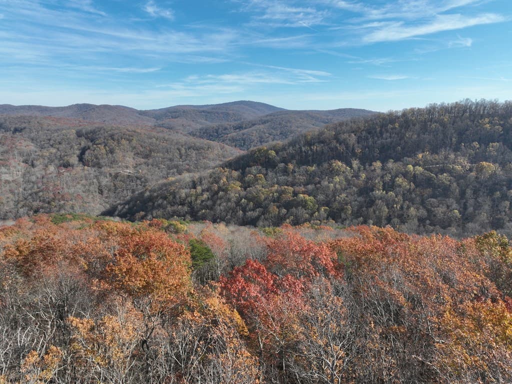 275 Andes Ridge, Ellijay GA 30536 - Photo