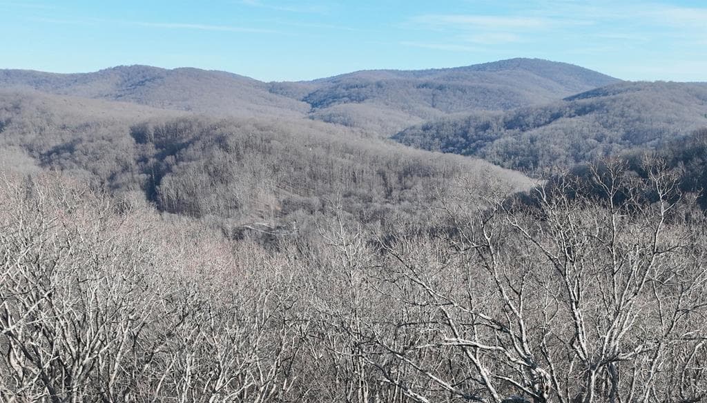 275 Andes Ridge, Ellijay GA 30536 - Primary photo