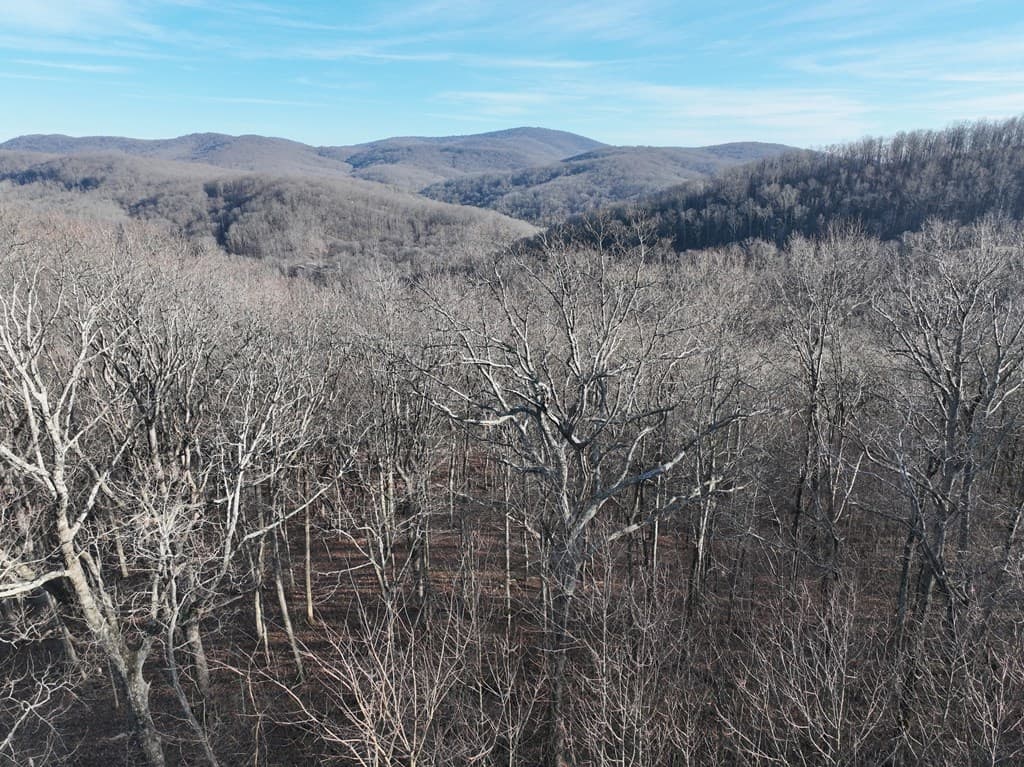 275 Andes Ridge, Ellijay GA 30536 - Photo