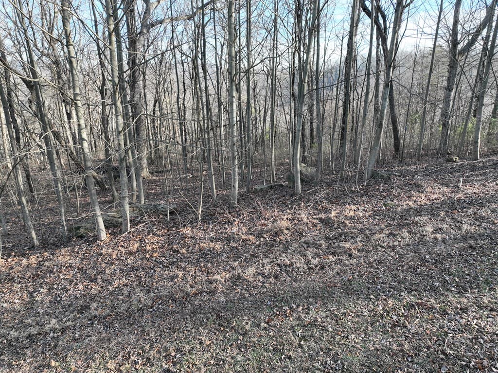 275 Andes Ridge, Ellijay GA 30536 - Photo