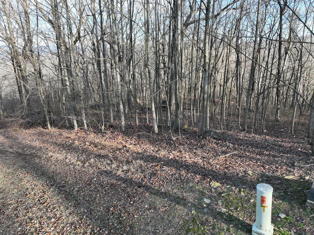 275 Andes Ridge, Ellijay GA 30536 - Photo