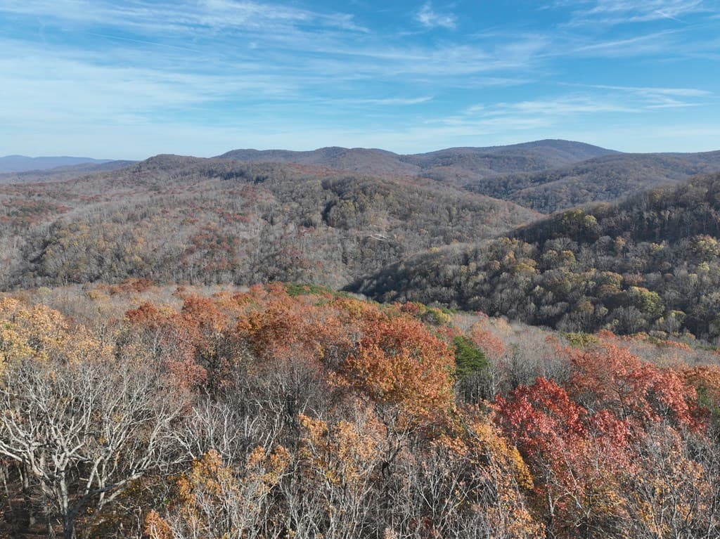 275 Andes Ridge, Ellijay GA 30536 - Photo