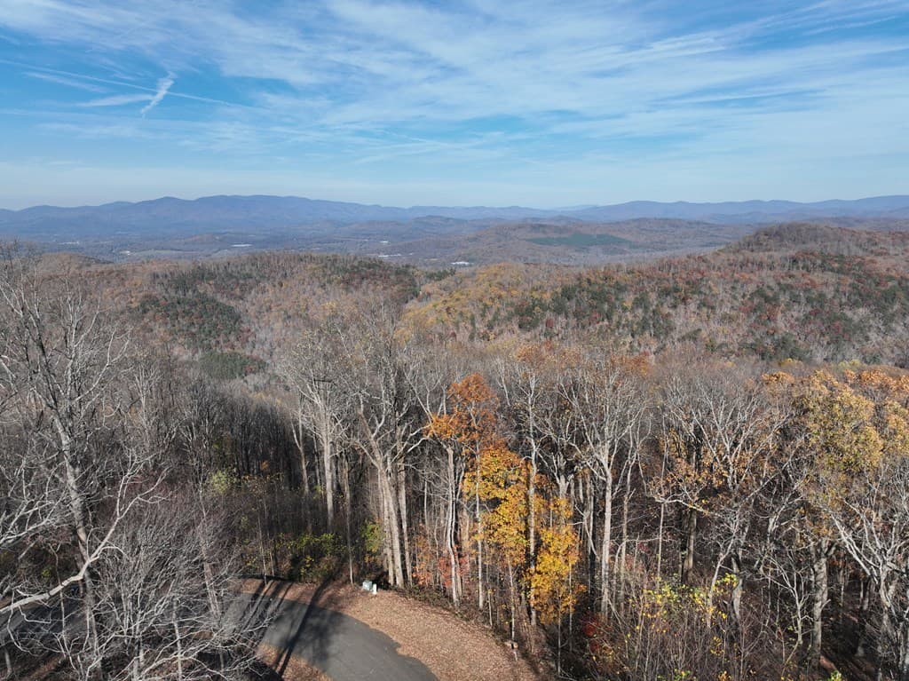 275 Andes Ridge, Ellijay GA 30536 - Photo