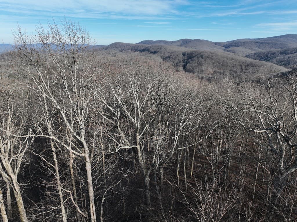 275 Andes Ridge, Ellijay GA 30536 - Photo
