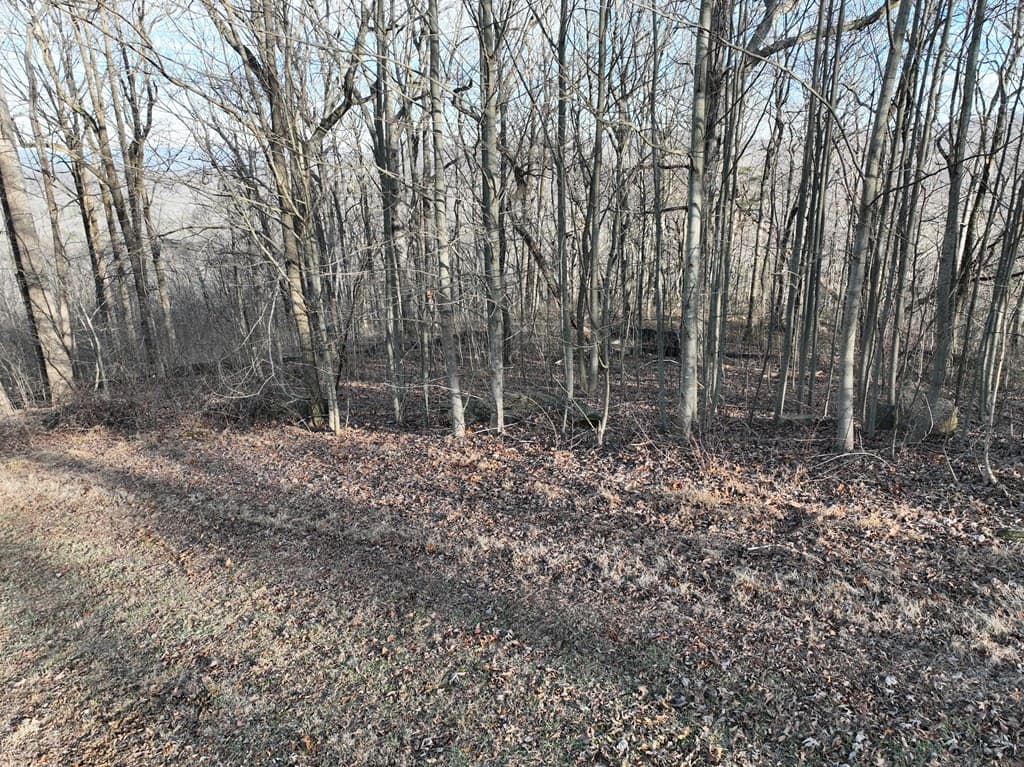 275 Andes Ridge, Ellijay GA 30536 - Photo