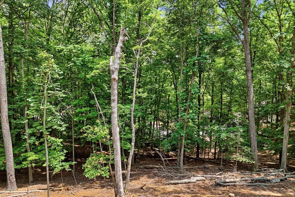 1883 Newport Drive, Ellijay GA 30540 - Photo