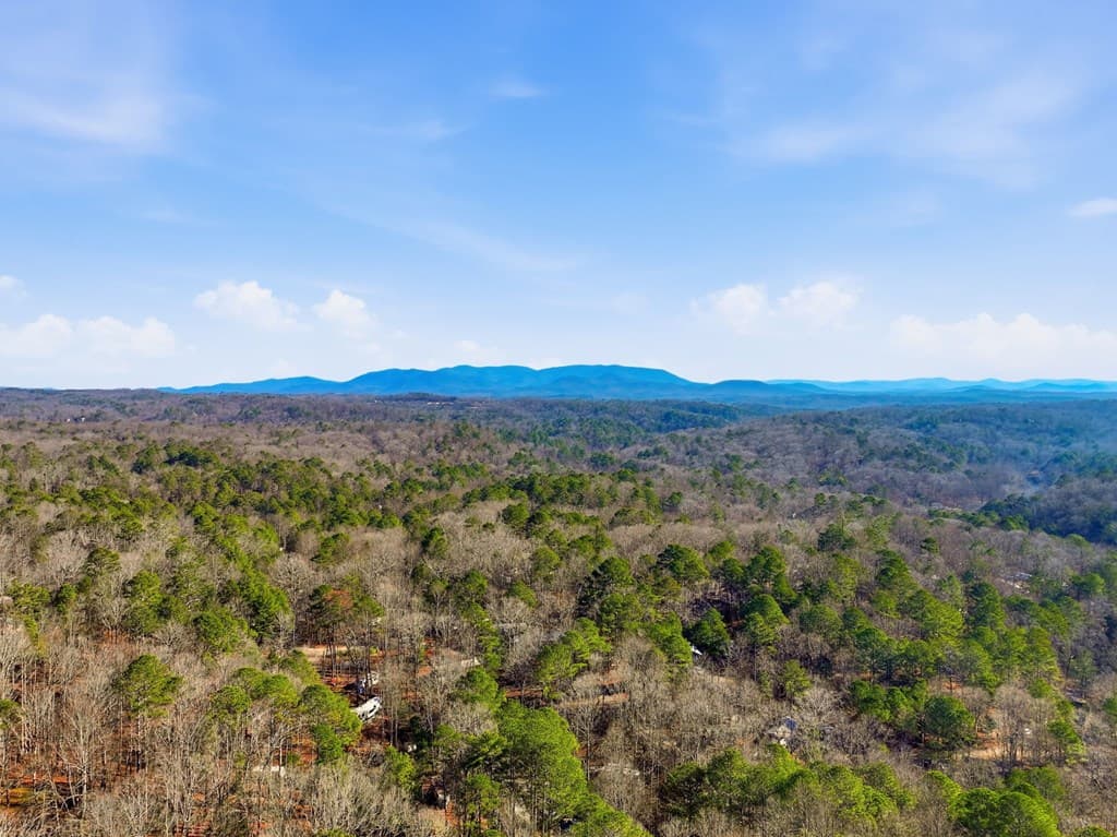1883 Newport Drive, Ellijay GA 30540 - Photo