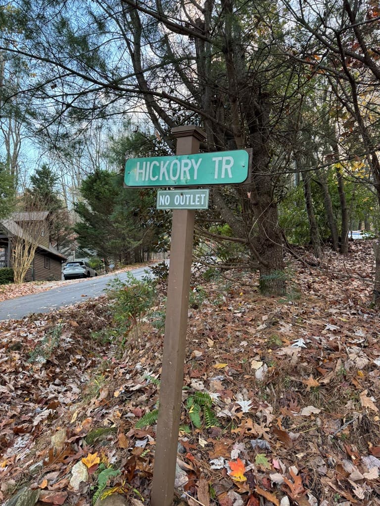 131 Hickory Trace, Ellijay GA 30536 - Photo