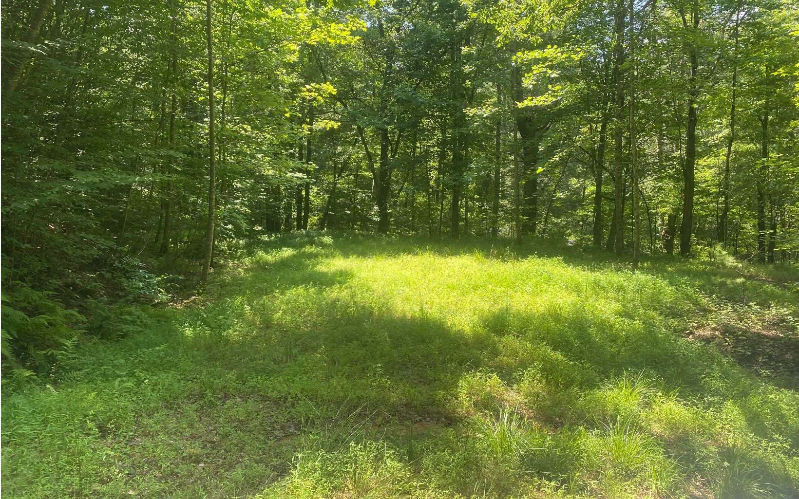 17.98 Ac Murphy Hwy, Mineral Bluff GA 30559 - Photo