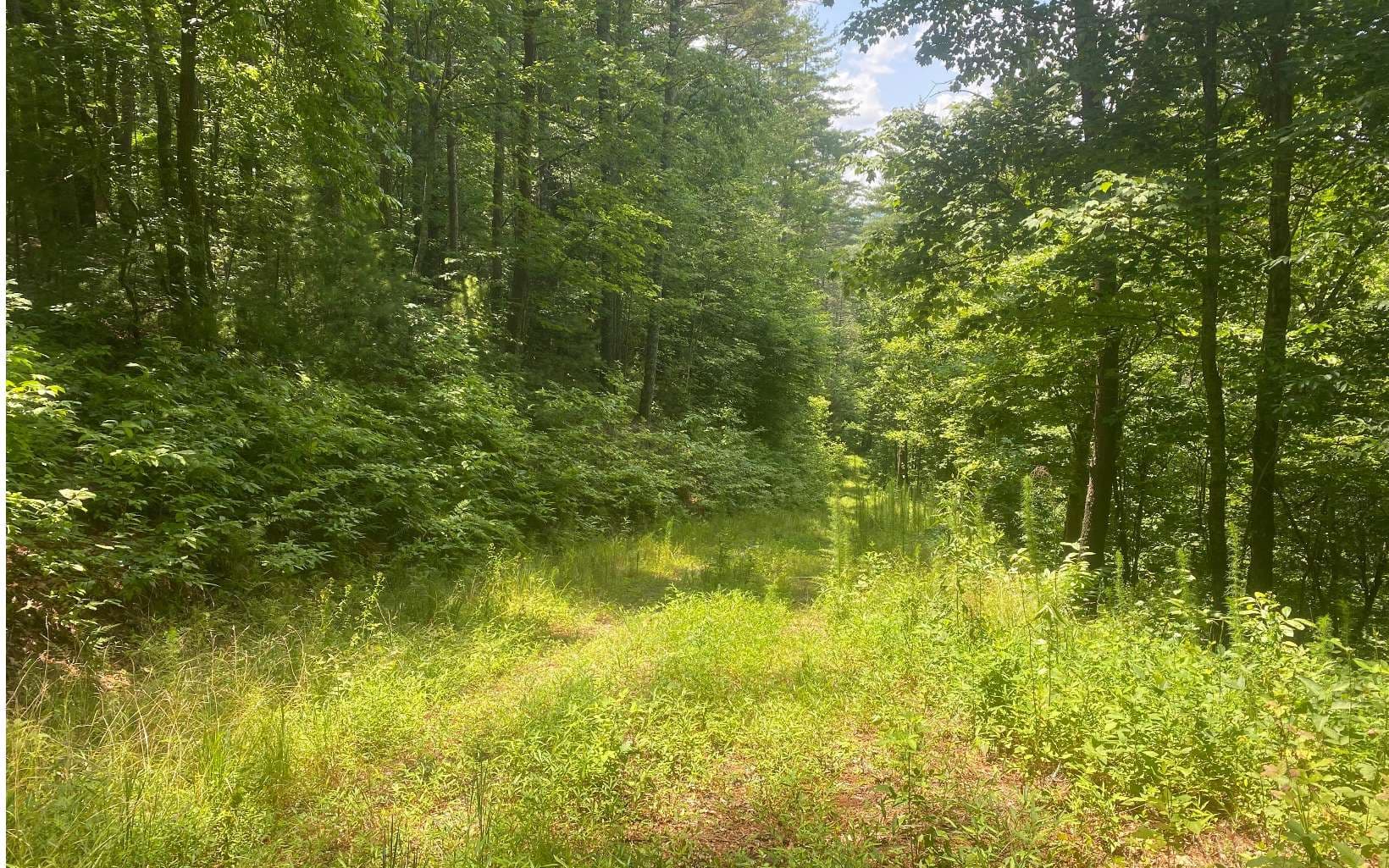 17.98 Ac Murphy Hwy, Mineral Bluff GA 30559 - Photo