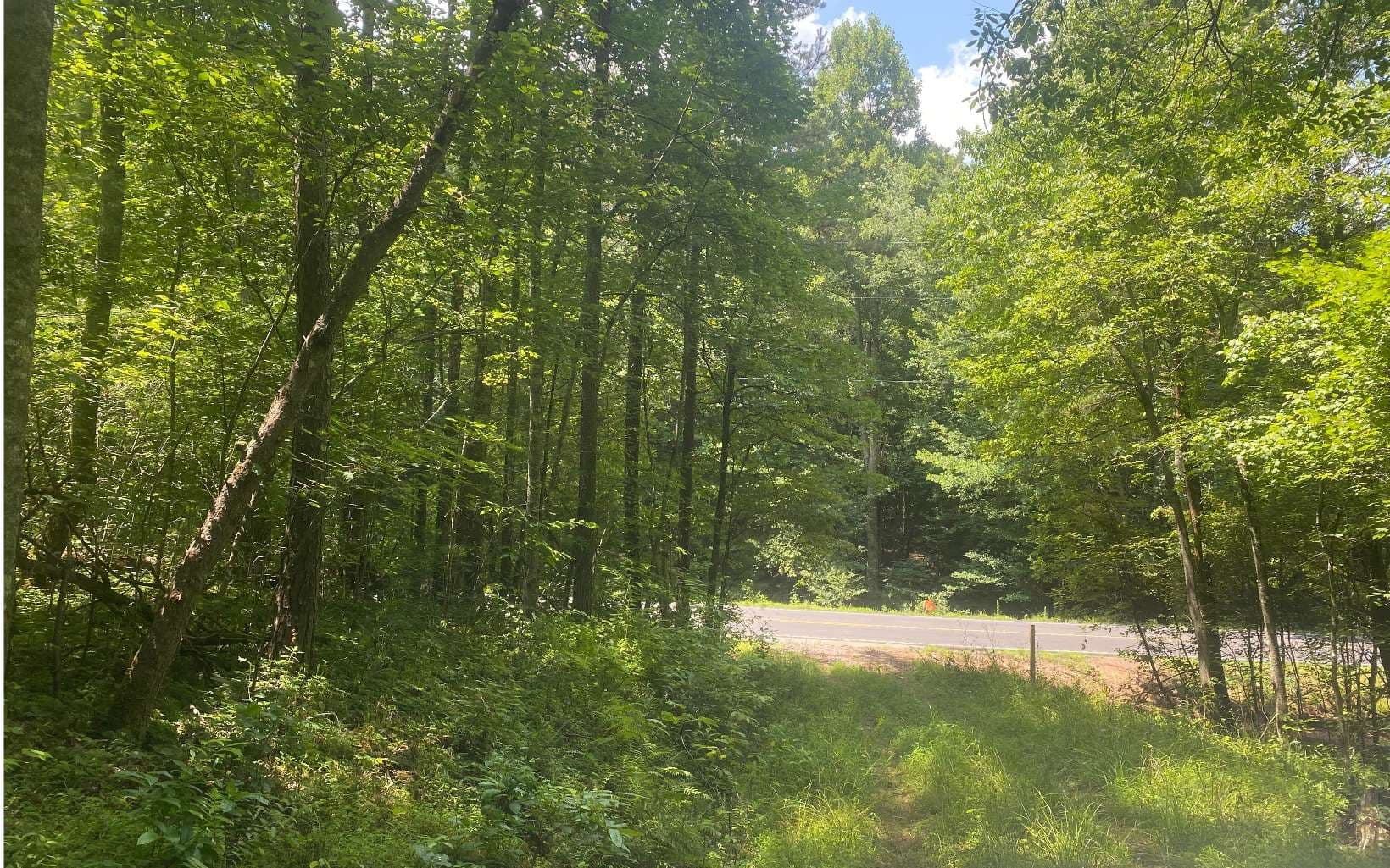 17.98 Ac Murphy Hwy, Mineral Bluff GA 30559 - Photo