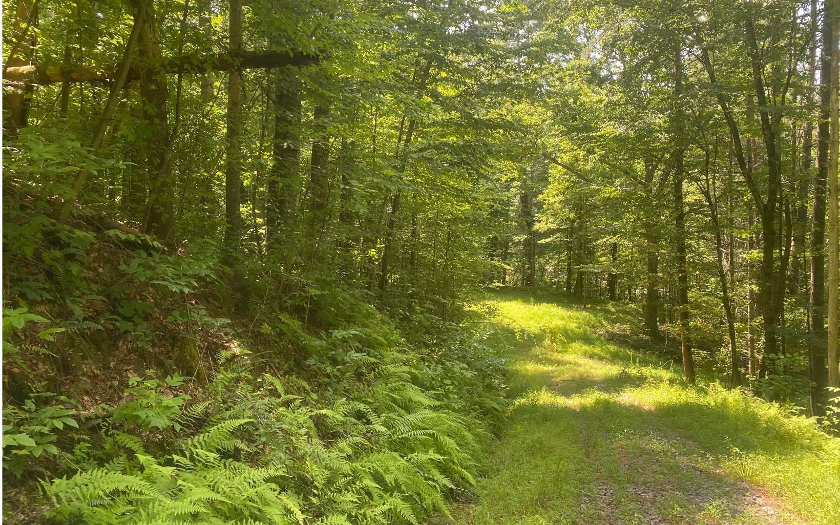 17.98 Ac Murphy Hwy, Mineral Bluff GA 30559 - Photo
