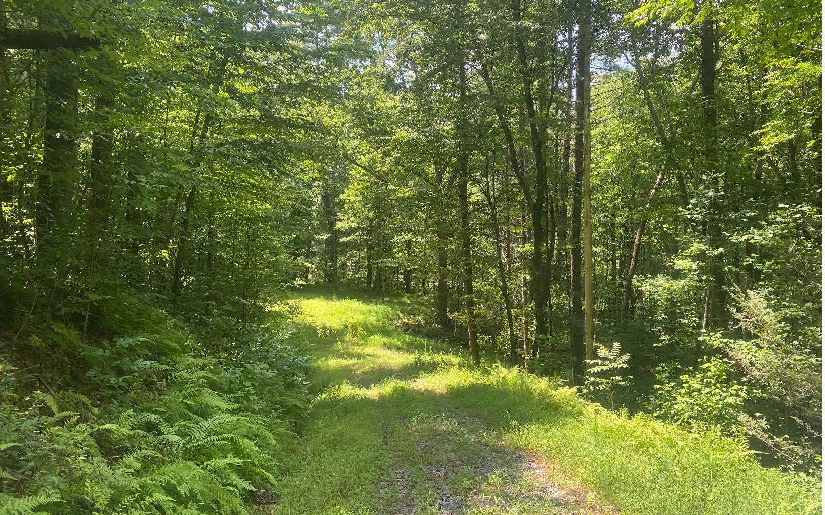 17.98 Ac Murphy Hwy, Mineral Bluff GA 30559 - Photo