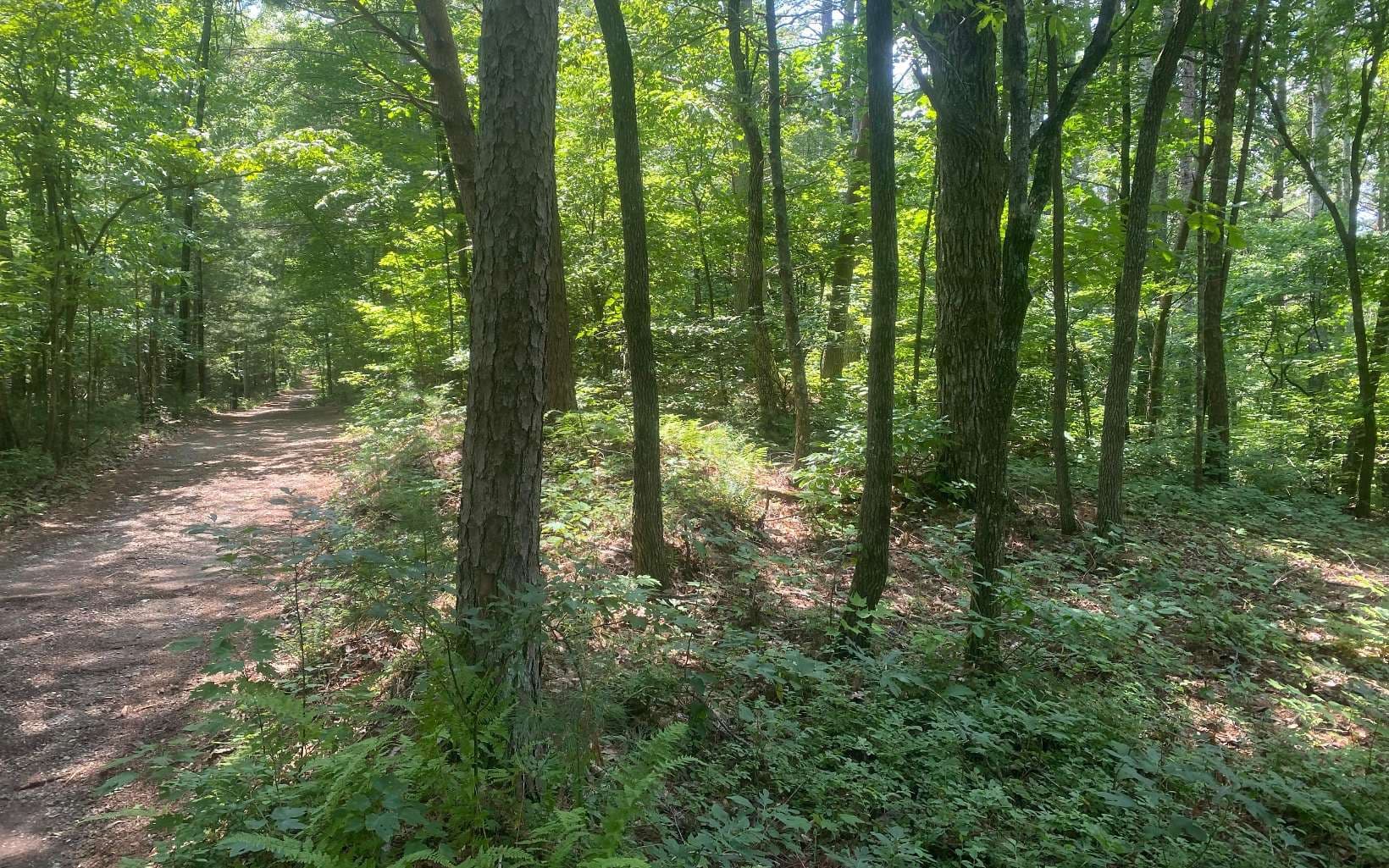 17.98 Ac Murphy Hwy, Mineral Bluff GA 30559 - Photo