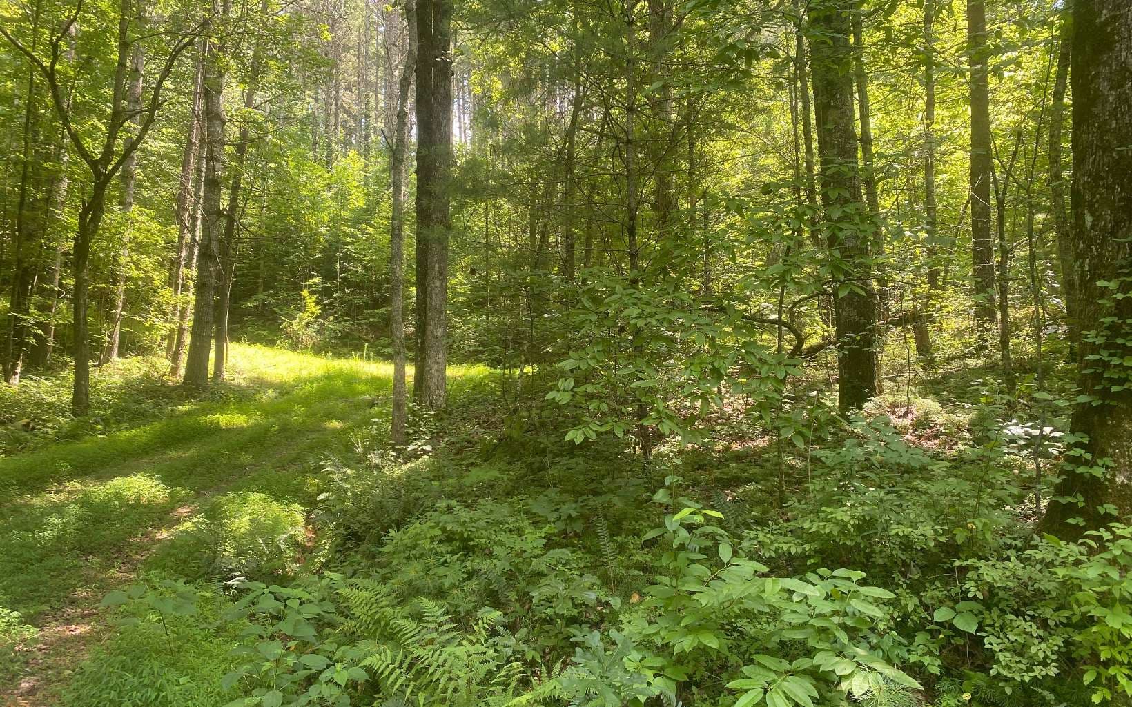 17.98 Ac Murphy Hwy, Mineral Bluff GA 30559 - Photo