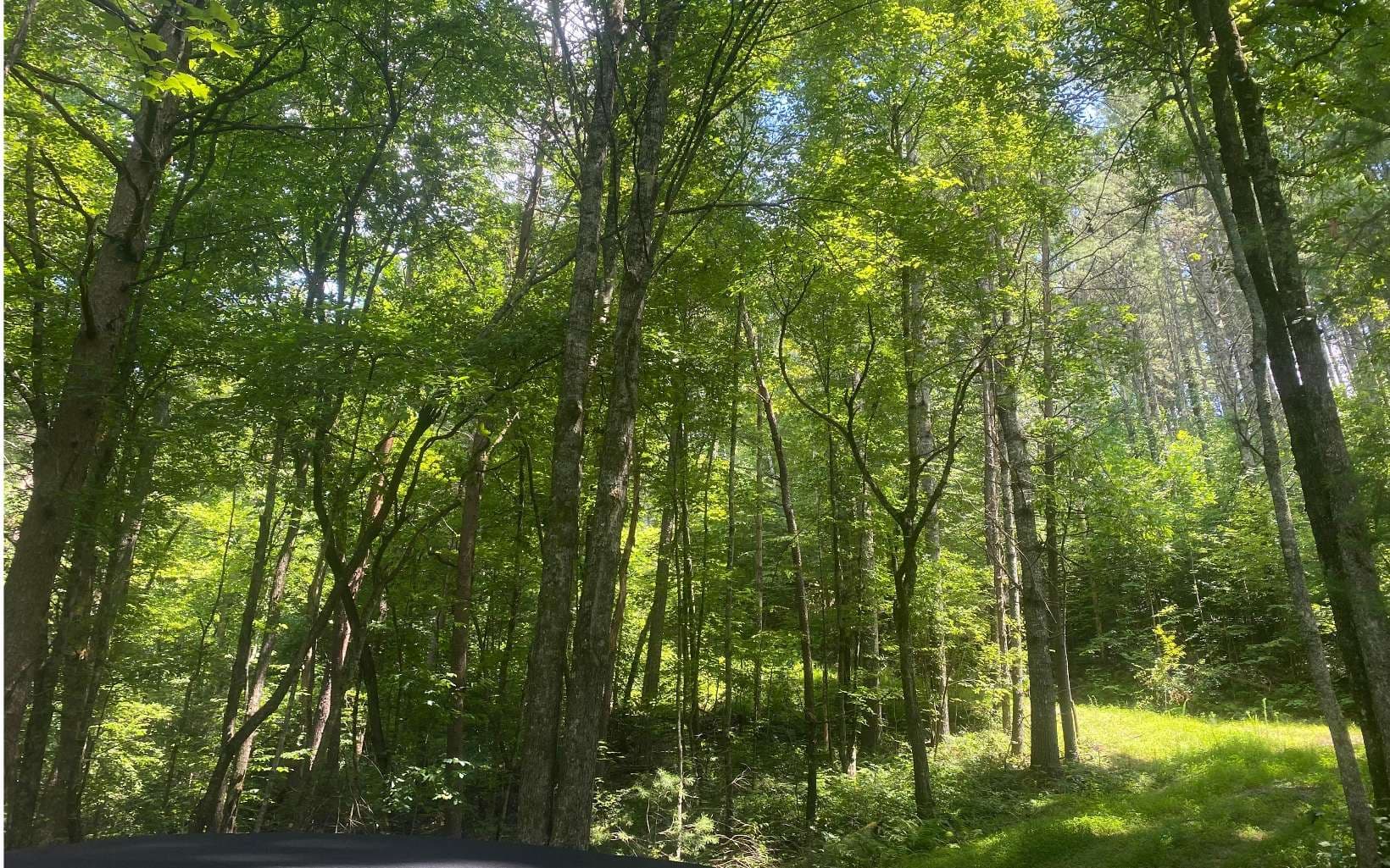 17.98 Ac Murphy Hwy, Mineral Bluff GA 30559 - Photo