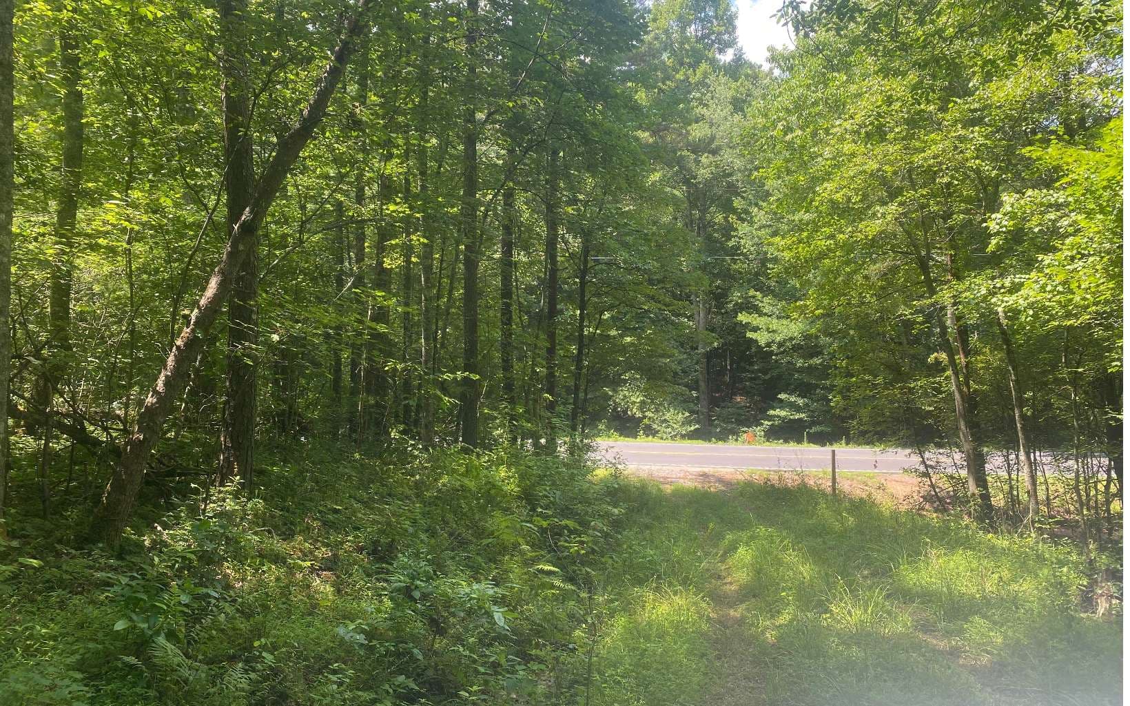 17.98 Ac Murphy Hwy, Mineral Bluff GA 30559 - Photo
