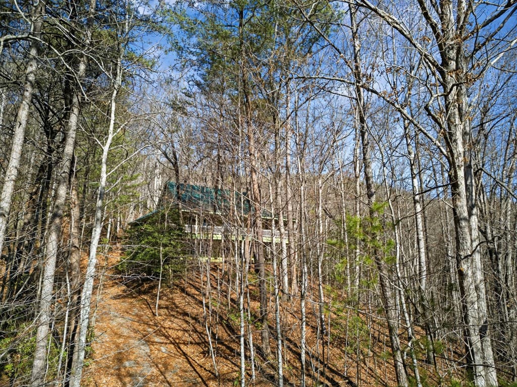 793 Jackie Cove Road, Hayesville NC 28904 - Photo