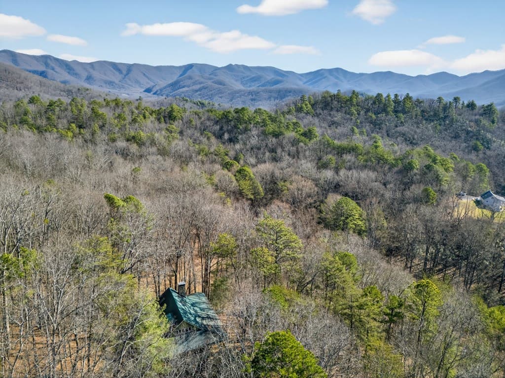 793 Jackie Cove Road, Hayesville NC 28904 - Photo