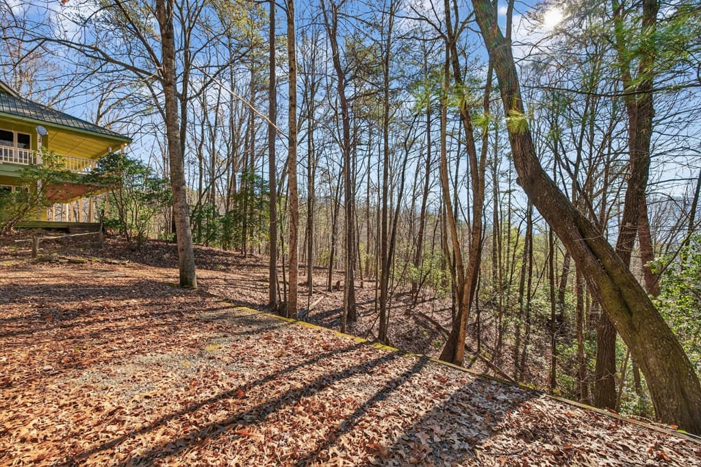 793 Jackie Cove Road, Hayesville NC 28904 - Photo
