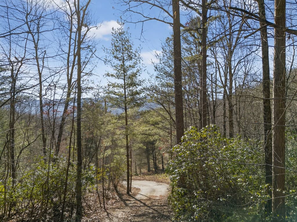 793 Jackie Cove Road, Hayesville NC 28904 - Photo