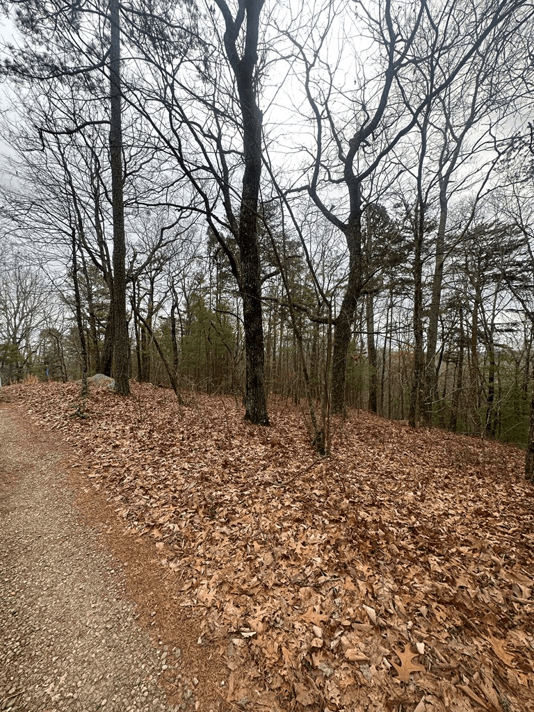 0 Sheila Drive, Ellijay GA 30540 - Photo