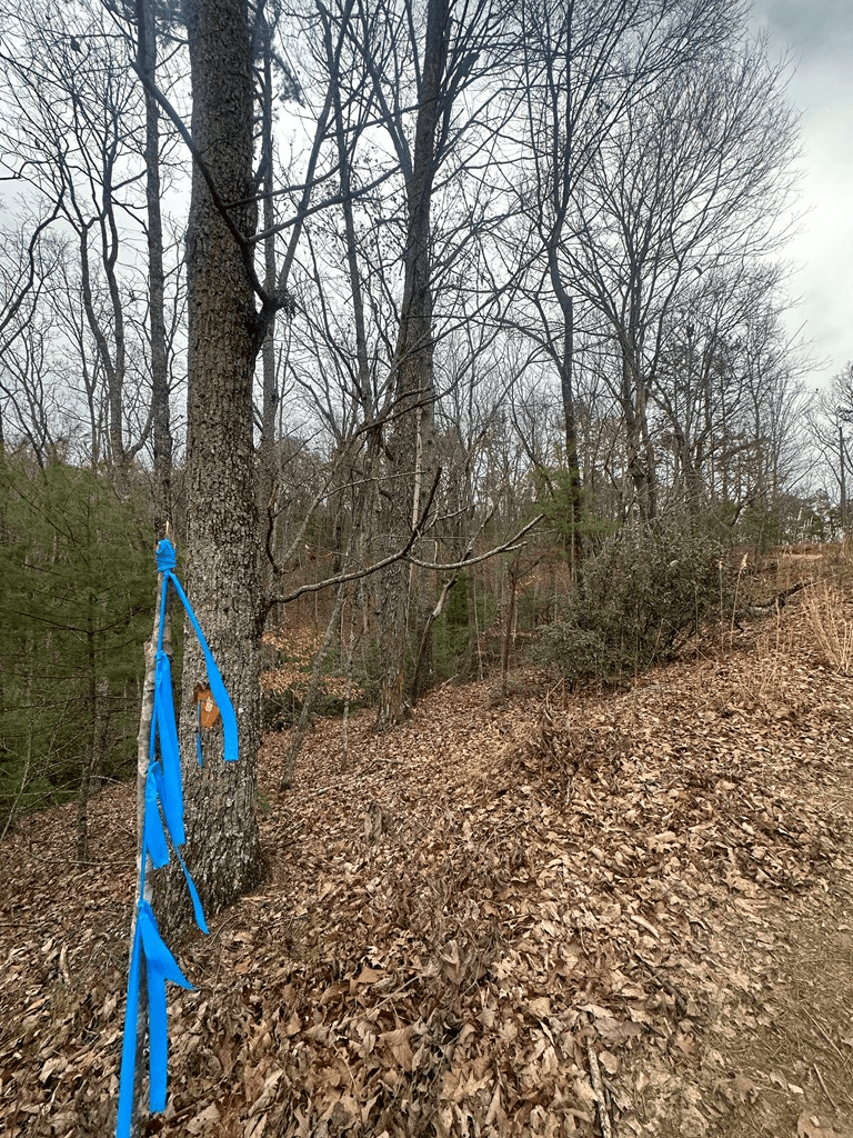 0 Sheila Drive, Ellijay GA 30540 - Photo