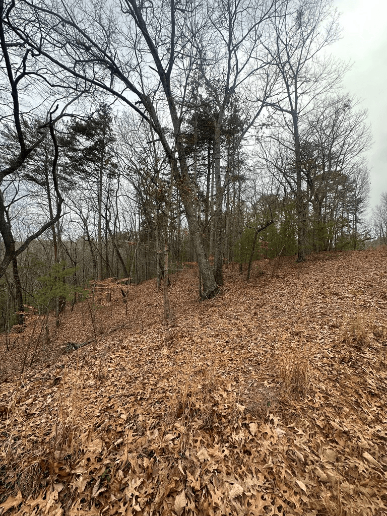0 Sheila Drive, Ellijay GA 30540 - Photo