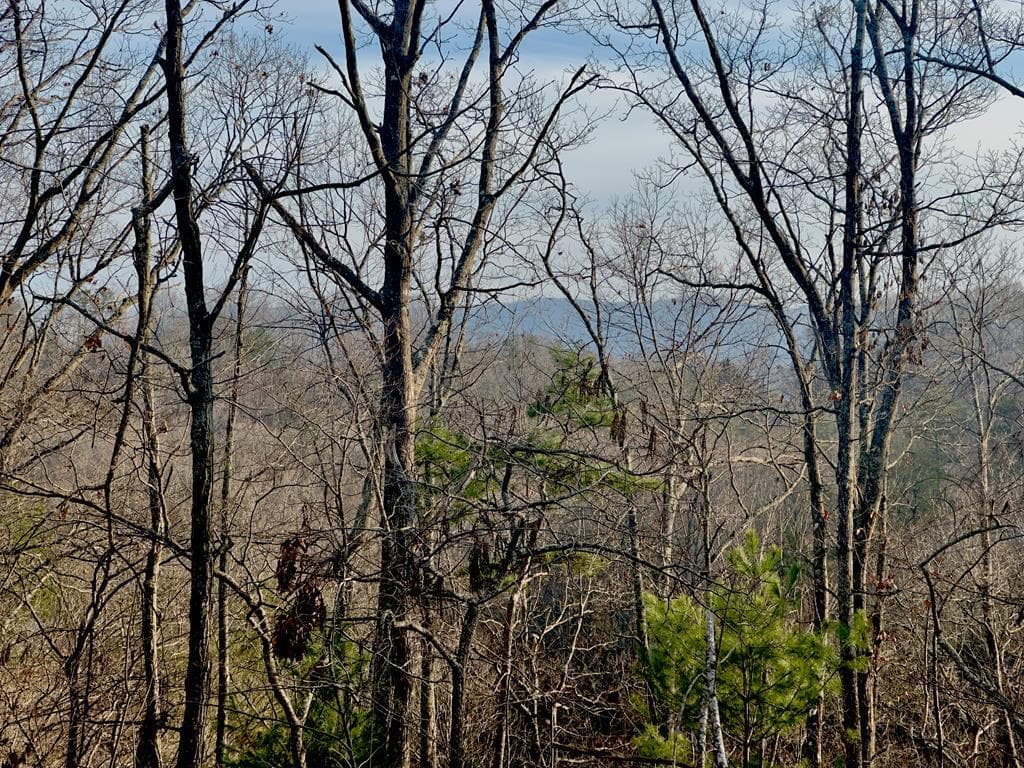 Tract 1 Century Lane, Blue Ridge GA 30513 - Photo
