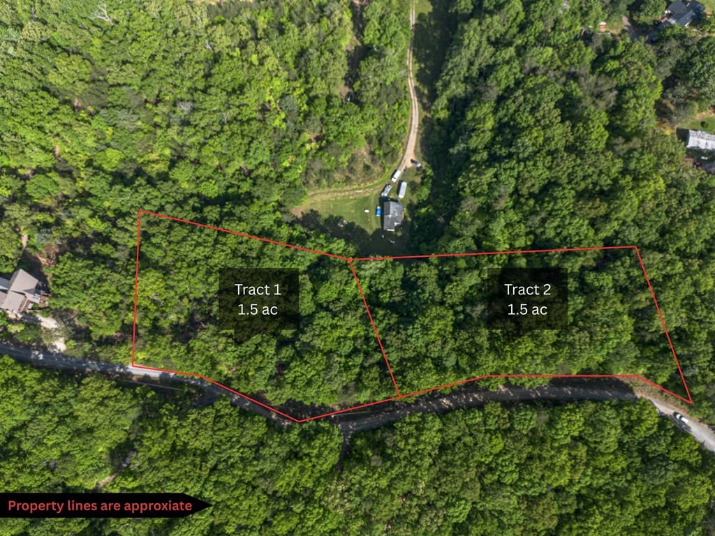 Tract 1 Century Lane, Blue Ridge GA 30513 - Photo
