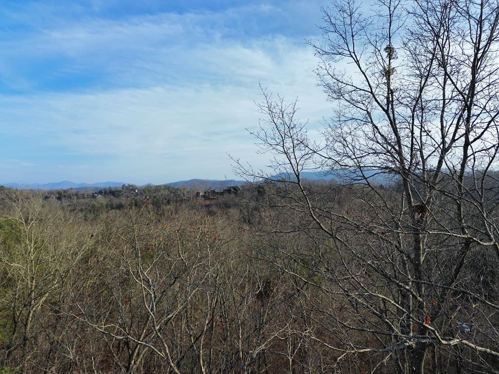 Tract 1 Century Lane, Blue Ridge GA 30513 - Photo