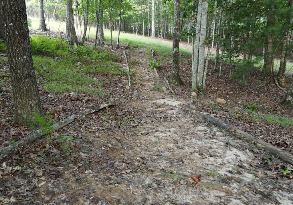 41 Old Wilscott Lane, Blairsville GA 30512 - Photo